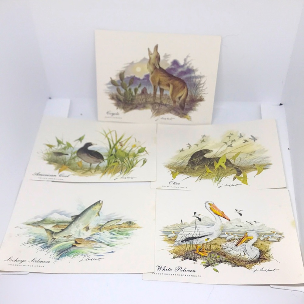 70's Vignettes Nature by James Lockhart